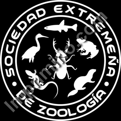Sociedad logo blanco